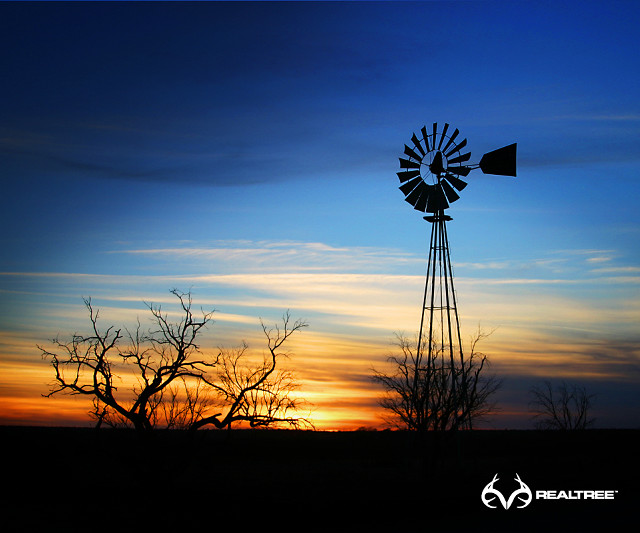 Windmill sunset tree blue sky free wallpaper - medium preview image