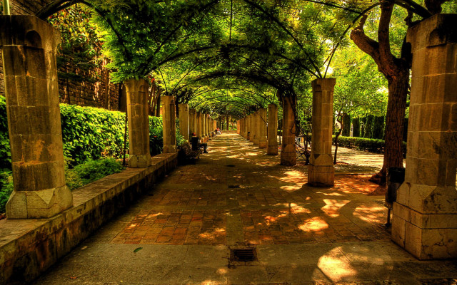 Walkway lined with trees and free wallpaper - medium preview image