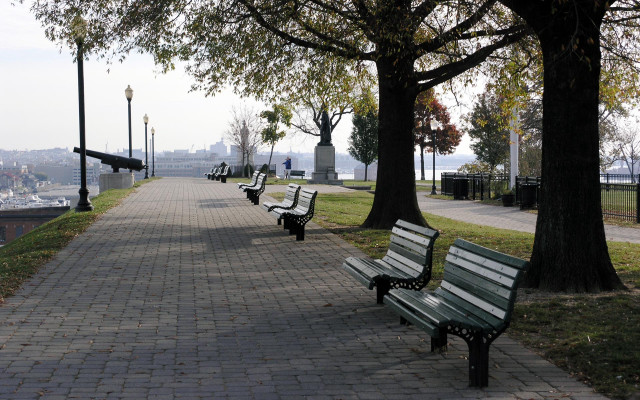 Benches park tree river city #4 free wallpaper - medium preview image