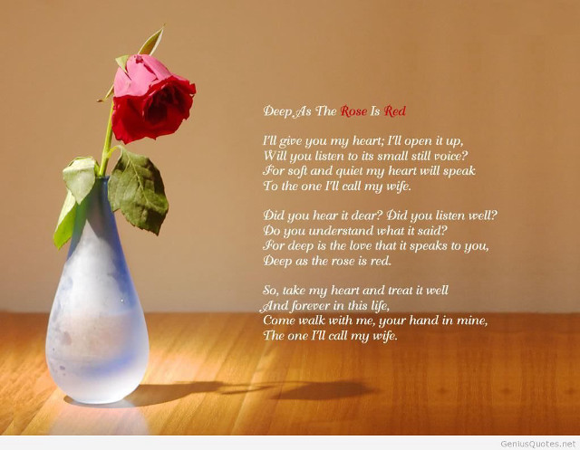 Rose vase poem tabletop romanticism free wallpaper - medium preview image
