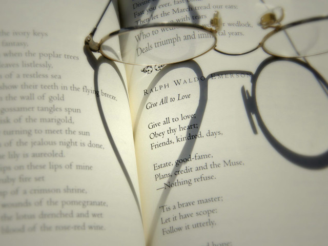 Book glasses shadow face romanticism free wallpaper - medium preview image