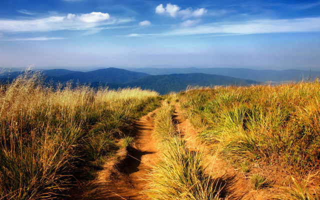 Dirt path grassy field mountains free wallpaper - medium preview image