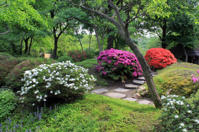 Stone path colorful flowers bench free wallpaper - medium preview image