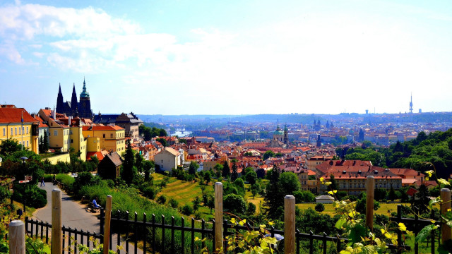 City buildings trees fence town free wallpaper - medium preview image