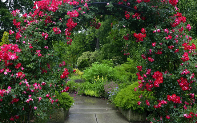 Garden path flowers bench middle free wallpaper - medium preview image