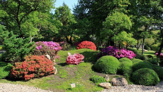 Garden flowers rocks bench middle free wallpaper - medium preview image