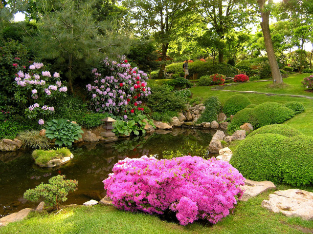 Garden pond flowers path bridge free wallpaper - medium preview image