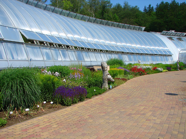Walkway flower field mosaic building free wallpaper - medium preview image