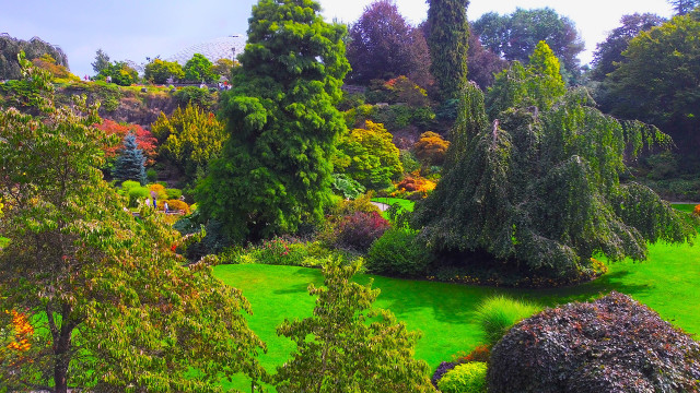 Lush green park hill starry free wallpaper - medium preview image
