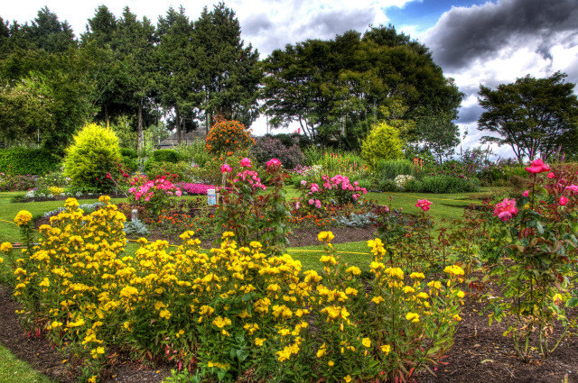 Garden flowers trees cloudy sky free wallpaper - medium preview image