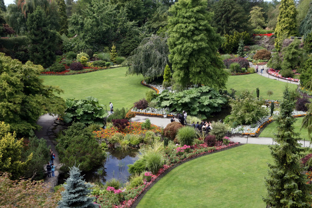 Lush green park pond trees free wallpaper - medium preview image