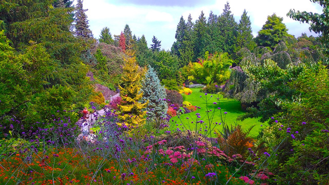Lush green field flowers trees free wallpaper - medium preview image