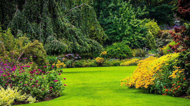 Lush green garden flower path free wallpaper - medium preview image