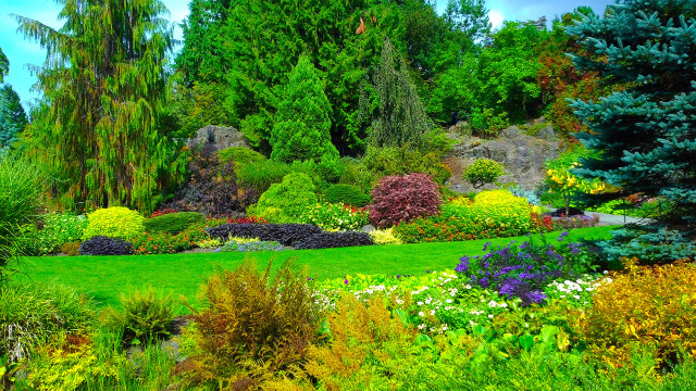Lush green park trees flowers #3 free wallpaper - medium preview image