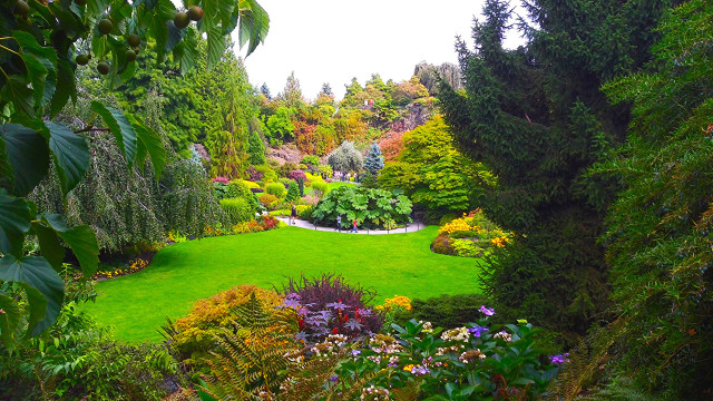 Lush green field trees flowers free wallpaper - medium preview image