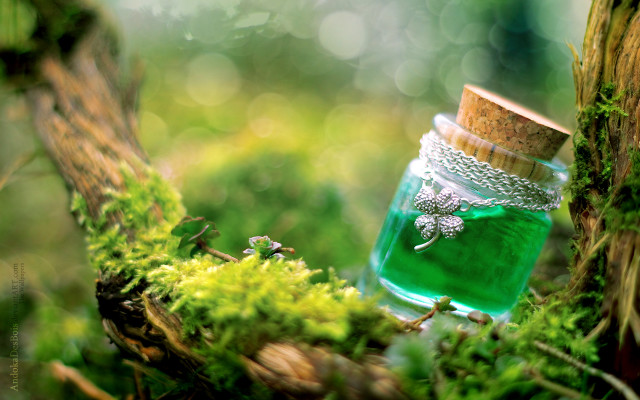 Green jar mossy branch magical free wallpaper - medium preview image