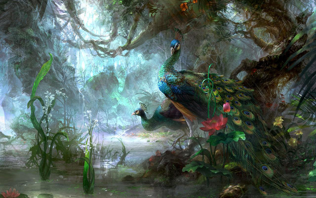 Peacock swamp plants flowers tree #3 free wallpaper - medium preview image