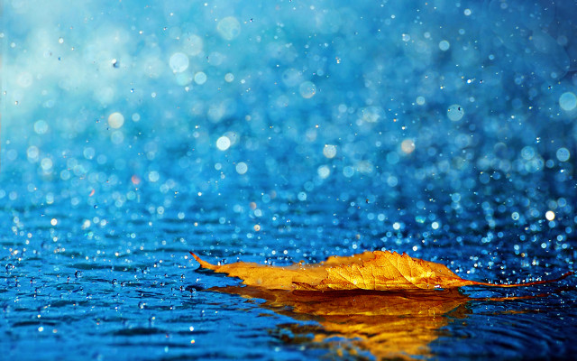 Leaf blue water droplets sky free wallpaper - medium preview image