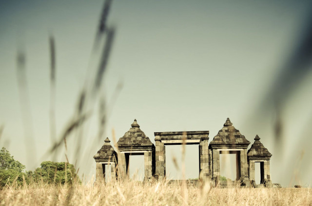 Stone structures tall grass trees free wallpaper - medium preview image