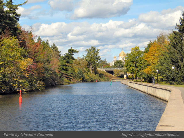 River bridge trees park clouds free wallpaper - medium preview image