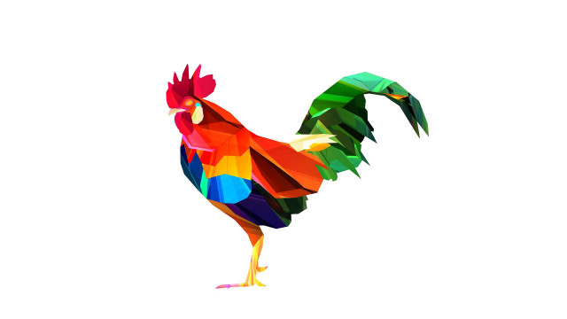 Colorful rooster white background surreal free wallpaper - medium preview image