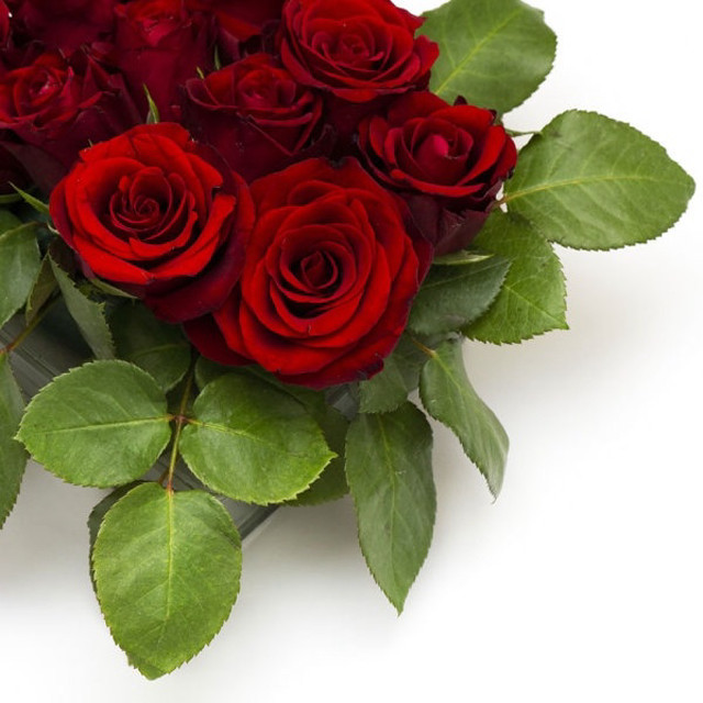 Red roses bouquet green leaves #6 free wallpaper - medium preview image