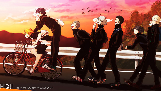 Biking sunset fence birds group free wallpaper - medium preview image