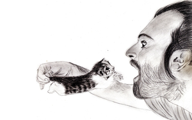 Man holding kitten cat shoulder free wallpaper - medium preview image