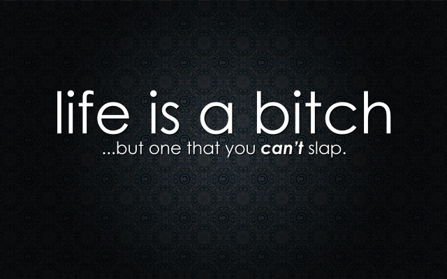 Life is a bitch funny free wallpaper - medium preview image