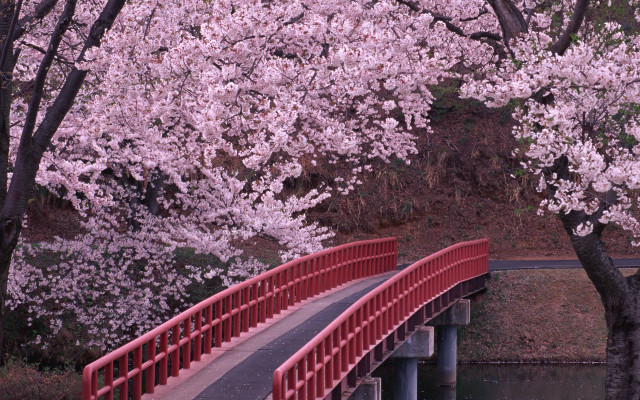 Red bridge river railing bench #2 free wallpaper - medium preview image