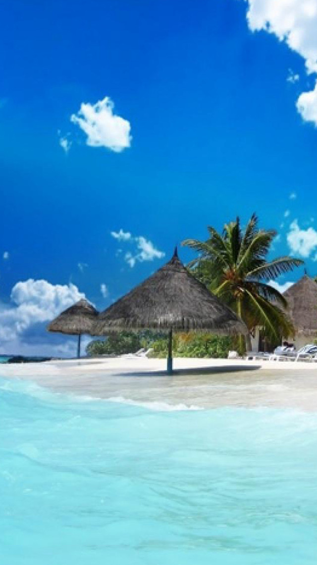 Beach umbrella chairs palm sky free wallpaper - medium preview image