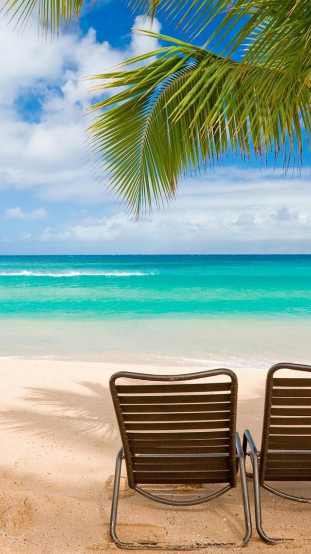 Chairs beach ocean palm tree free wallpaper - medium preview image
