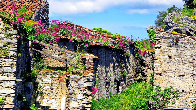 Stone building flowers wooden fence free wallpaper - medium preview image