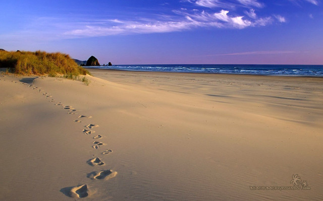 Beach footprints blue sky clouds free wallpaper - medium preview image