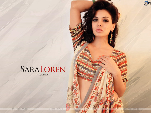Woman sari posing picture hands free wallpaper - medium preview image
