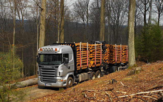Truck hauling logs dirt road #3 free wallpaper - medium preview image