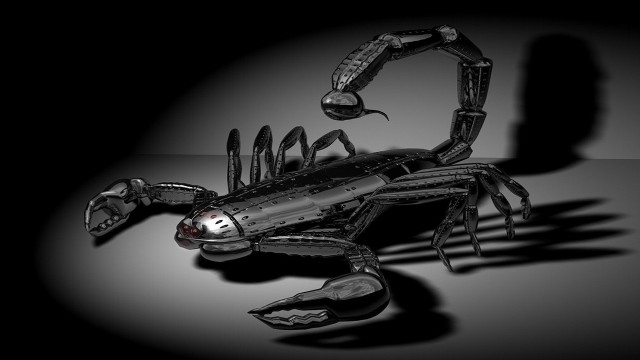 Scorpion black white photo shadow free wallpaper - medium preview image