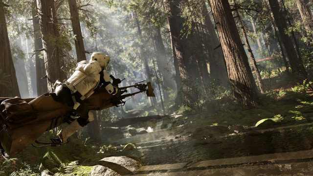 Person riding horse forest trees free wallpaper - medium preview image