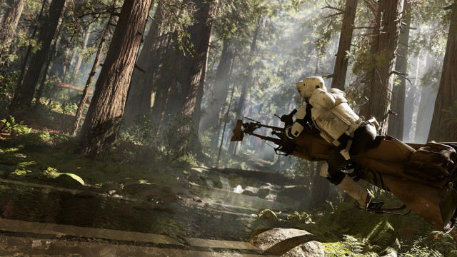 Person riding horse forest trees #2 free wallpaper - medium preview image