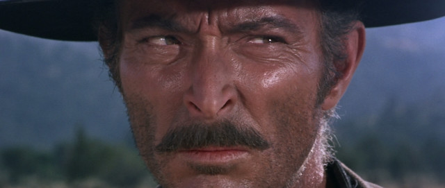 Man mustache hat looking camera free wallpaper - medium preview image