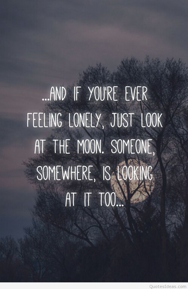 Full moon trees quote feelings free wallpaper - medium preview image