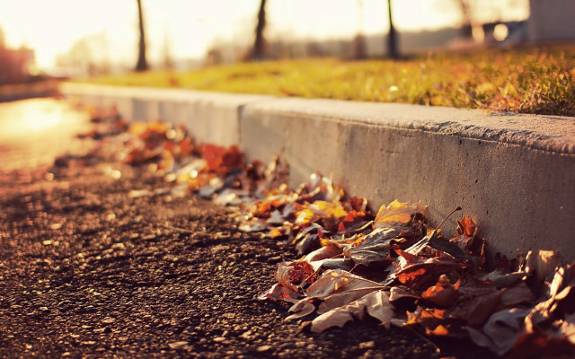 Leaves curb streetlight autumn blurry free wallpaper - medium preview image