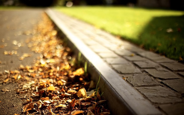 Bench road field grass leaves free wallpaper - medium preview image