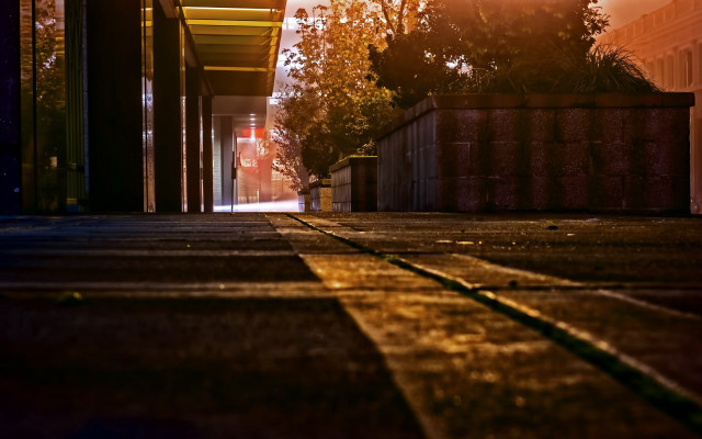 Street light building tree background free wallpaper - medium preview image
