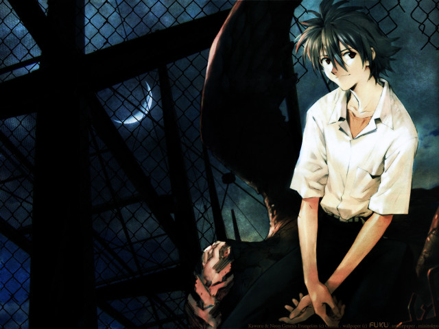 Man bench fence horse person free wallpaper - medium preview image