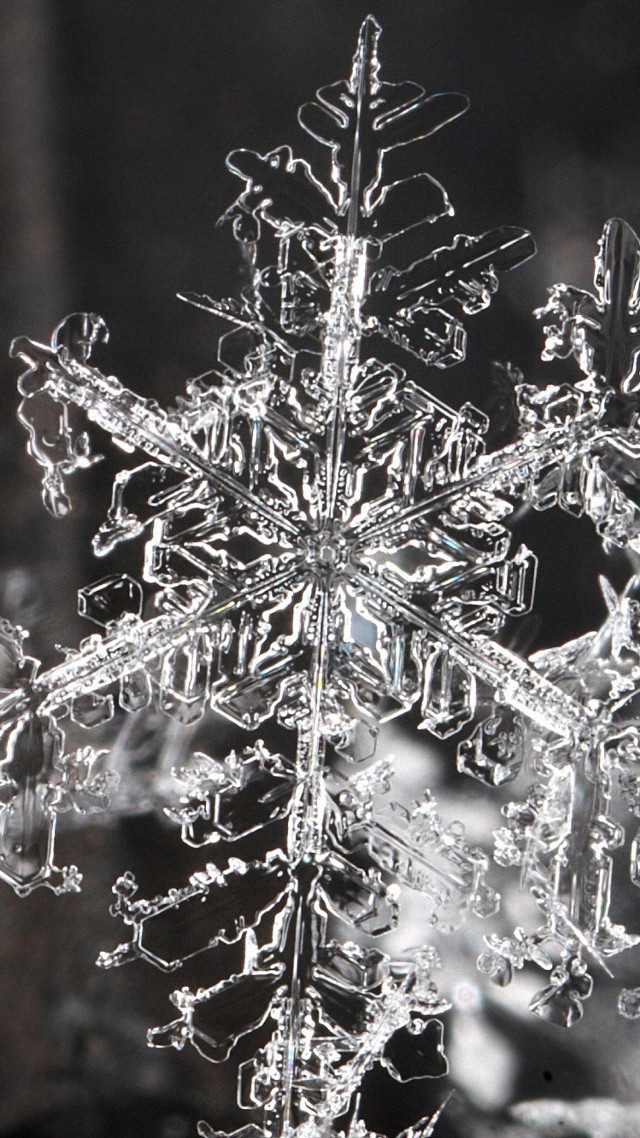 Snowflake black white background photo free wallpaper - medium preview image