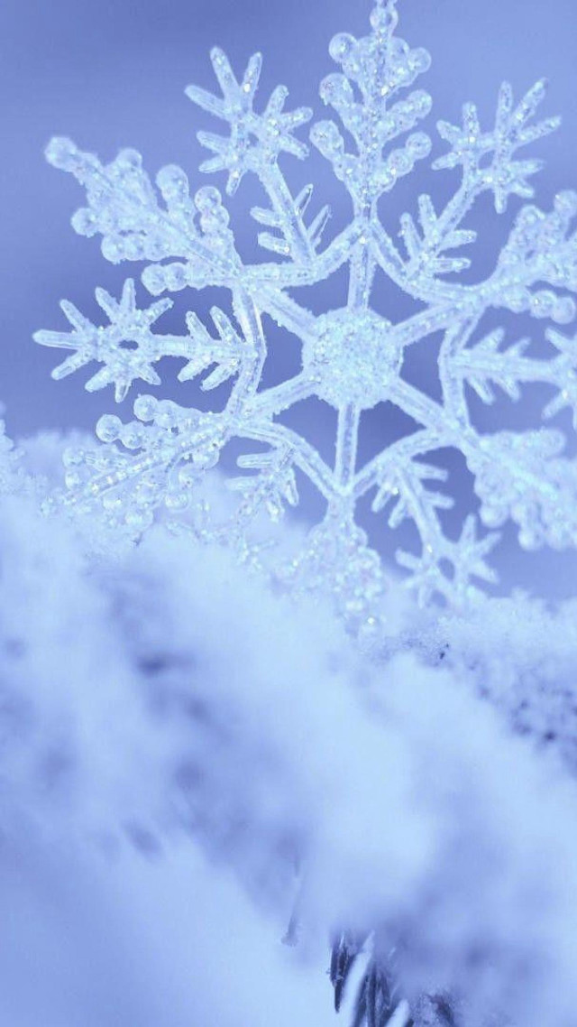 Snowflake in the middle of #2 free wallpaper - medium preview image