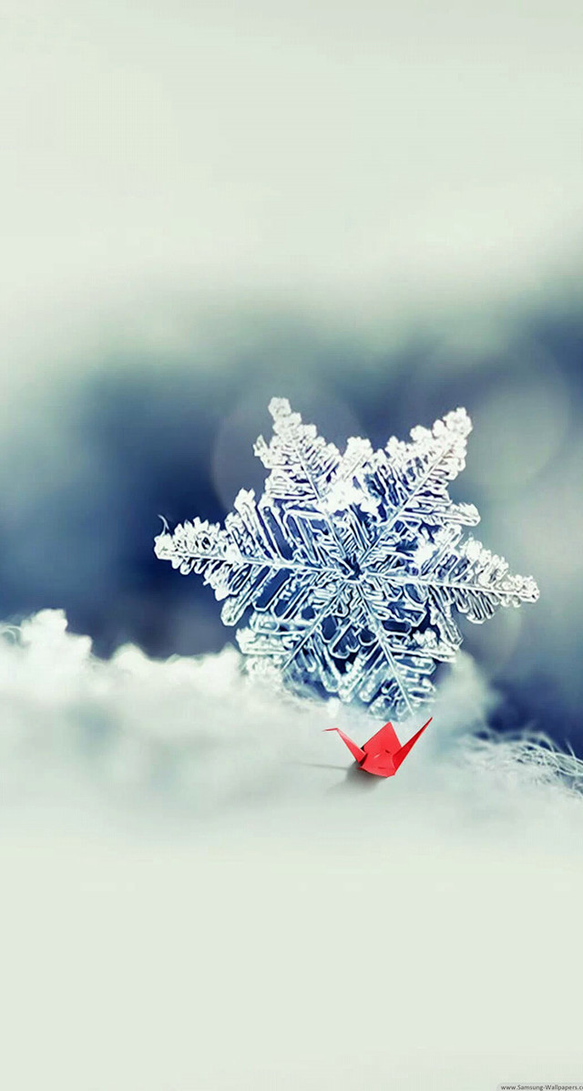 Red origami bird winter snowflake free wallpaper - medium preview image