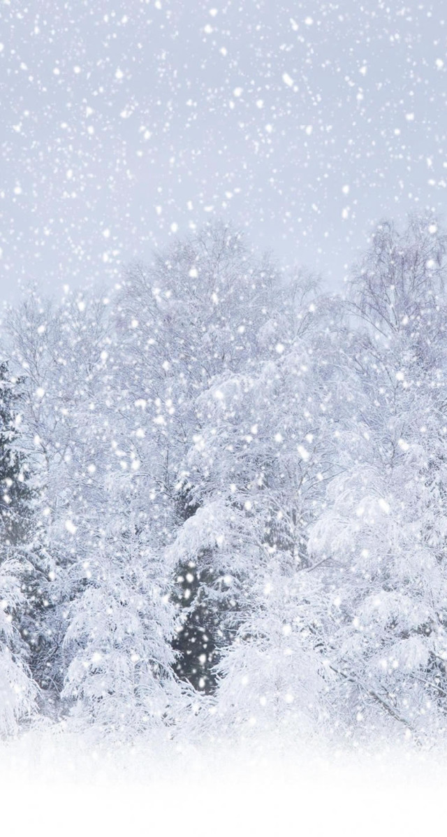 Snowy scene trees sky background free wallpaper - medium preview image