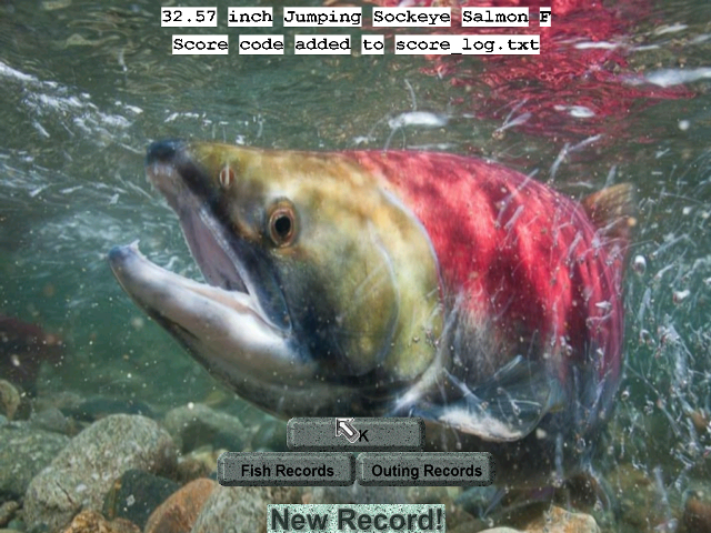 Fish swimming water rocks caption free wallpaper - medium preview image